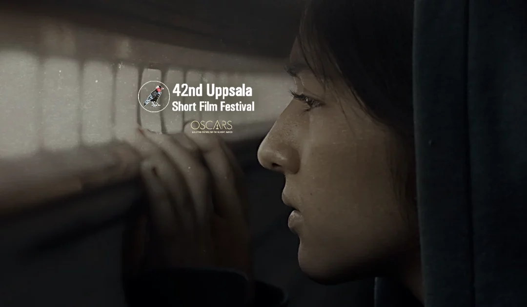 “The thirteenth year” in competition at 42th Uppsala Short Film Festival