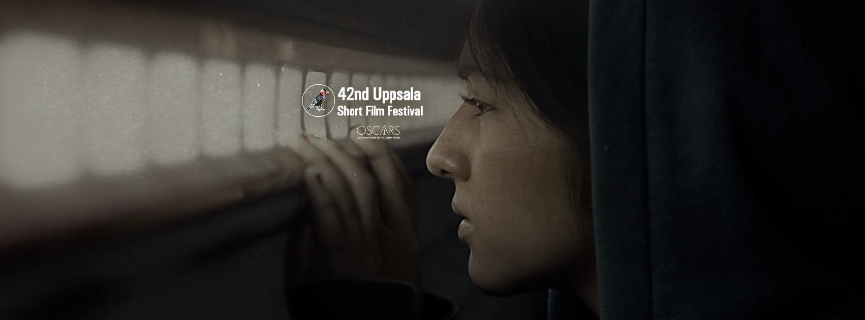 “The thirteenth year” at 42th Uppsala Short Film Festival