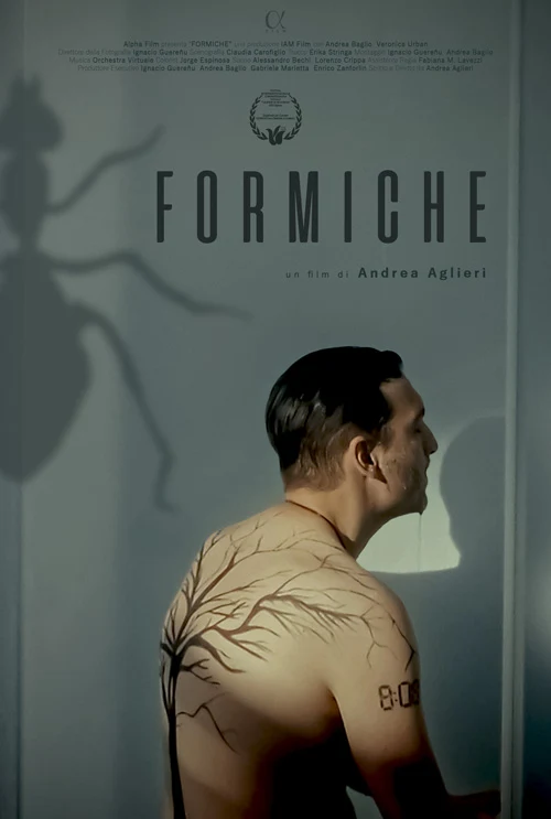 Distribution of the short film "Ants" (Formiche) by Andrea Aglieri