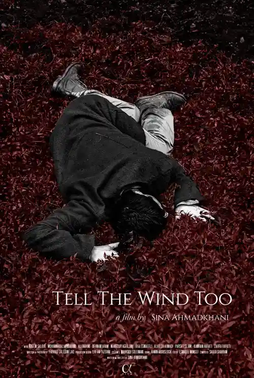 Distribuzione del lungometraggio "Tellthe wind too"